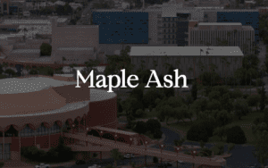 Maple Ash painters